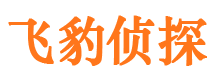 隰县侦探公司